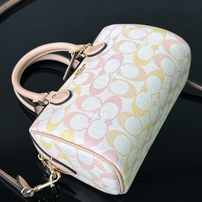 Coach Bag — 7