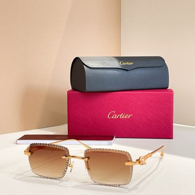 Cartier Sunglasses — 5