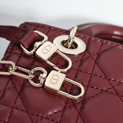 Dior Bag — 4