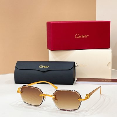 Cartier Sunglasses — 5