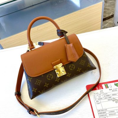 Louis Vuitton Bag — 3