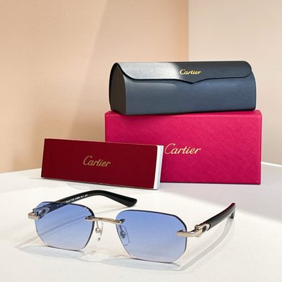 Cartier Sunglasses — 6