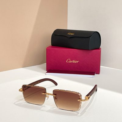 Cartier Sunglasses — 6