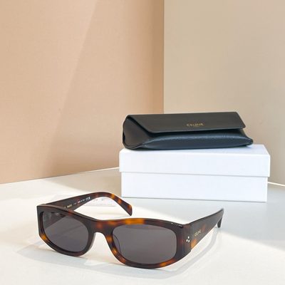 Celine Sunglasses — 3