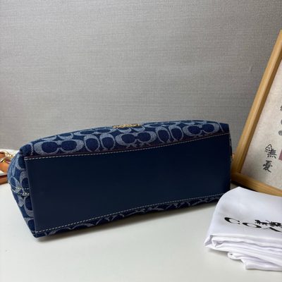 Coach Bag — 5