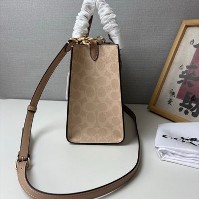 Coach Bag — 5