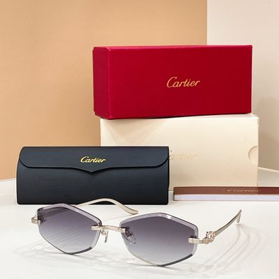 Cartier Sunglasses — 5