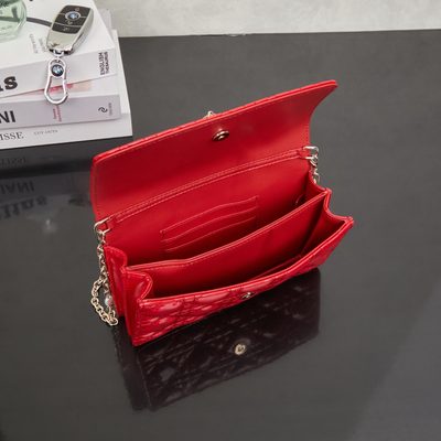 Dior Bag — 8