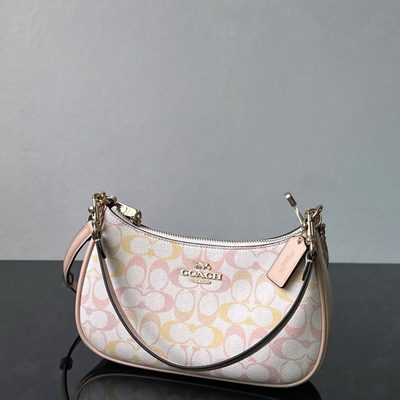 Coach Bag — 6