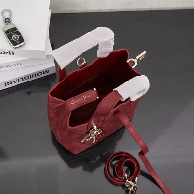 Dior Bag — 8