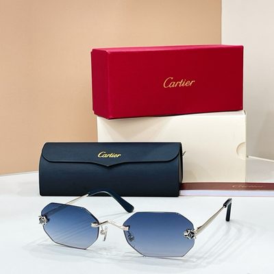 Cartier Sunglasses — 3