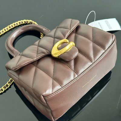 Coach Bag — 5