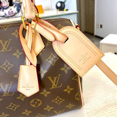 Louis Vuitton Bag — 5
