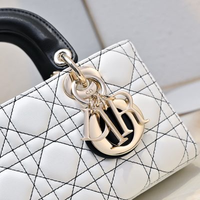 Dior Bag — 5