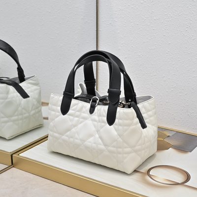Dior Bag — 5