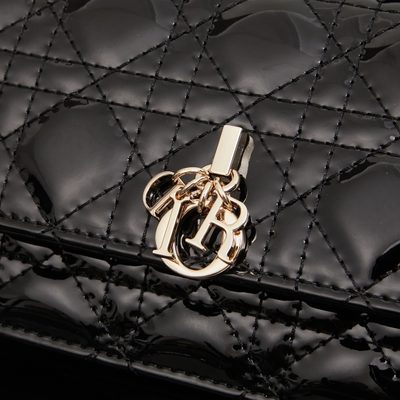 Dior Bag — 5