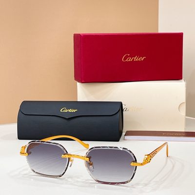 Cartier Sunglasses — 6