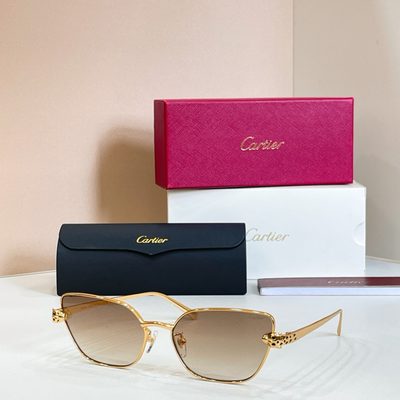 Cartier Sunglasses — 3