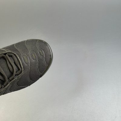 Nike Air Max Plus trainers — 7