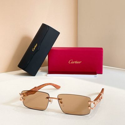 Cartier Sunglasses — 6