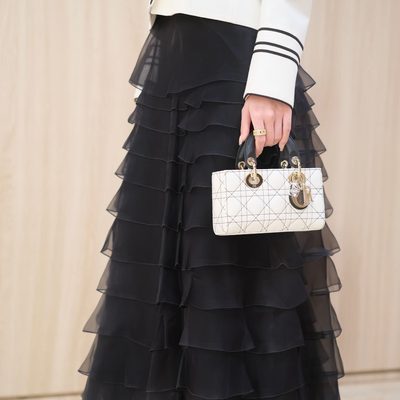 Dior Bag — 3