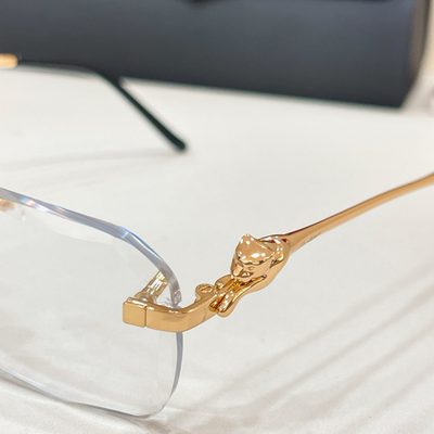Cartier Sunglasses — 4