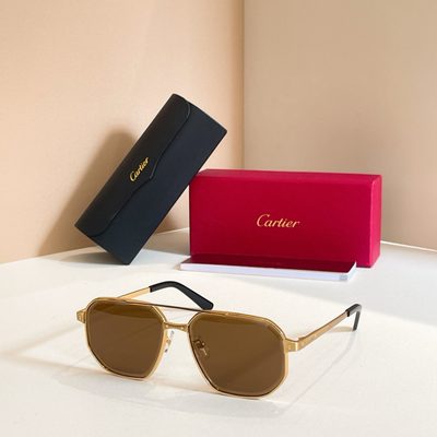 Cartier Sunglasses — 5