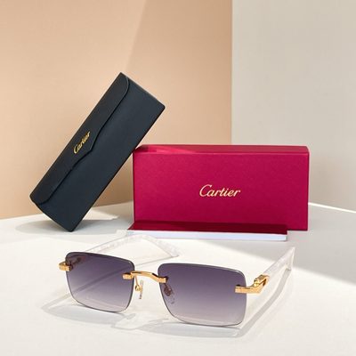 Cartier Sunglasses — 6