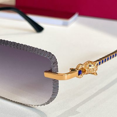 Cartier Sunglasses — 9
