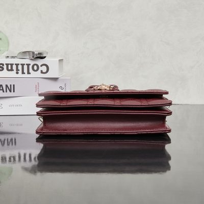 Dior Bag — 4