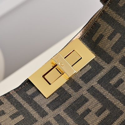 Fendi Bag — 6