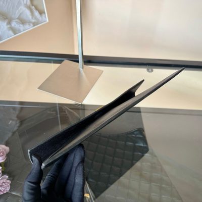 YSL Bag — 6