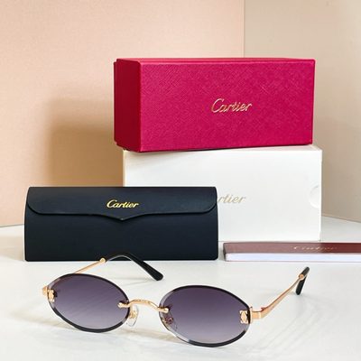 Cartier Sunglasses — 4