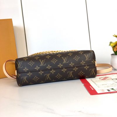 Louis Vuitton Bag — 8