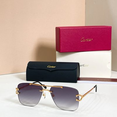 Cartier Sunglasses — 7