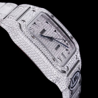 Cartier Watch — 6