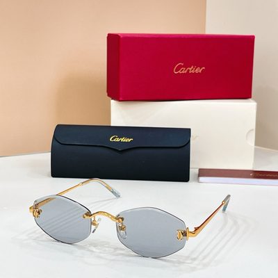 Cartier Sunglasses — 5