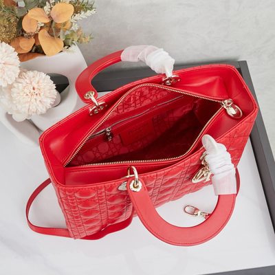 Dior Bag — 9