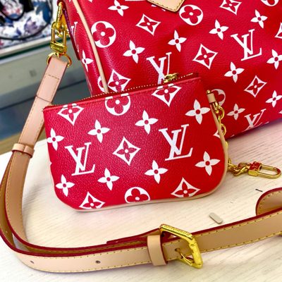 Louis Vuitton Bag — 7