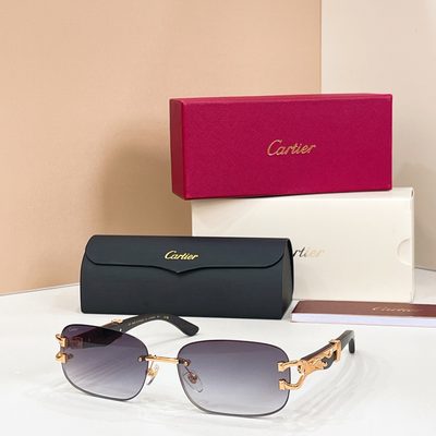 Cartier Sunglasses — 3