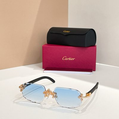 Cartier Sunglasses — 7