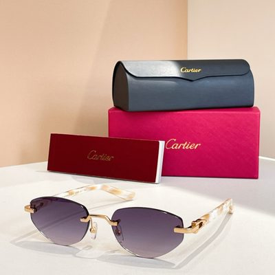 Cartier Sunglasses — 4