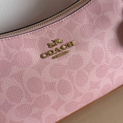 Coach Bag — 6