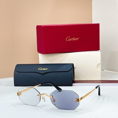 Cartier Sunglasses — 4