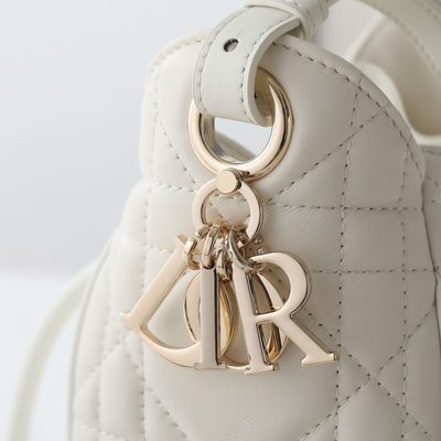 Dior Bag — 6