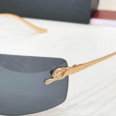 Cartier Sunglasses — 5