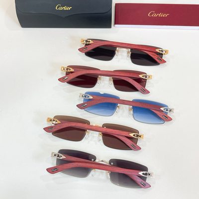 Cartier Sunglasses — 9