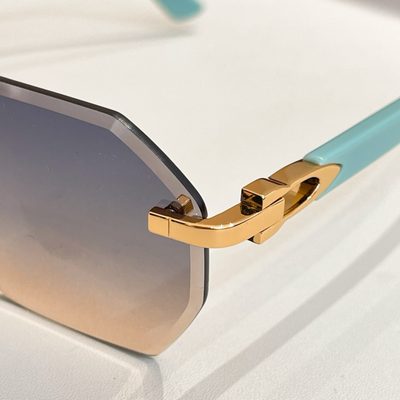 Cartier Sunglasses — 7