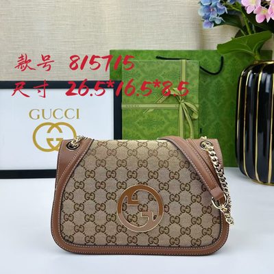 Gucci Bag
