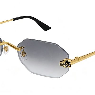 Cartier Sunglasses — 6